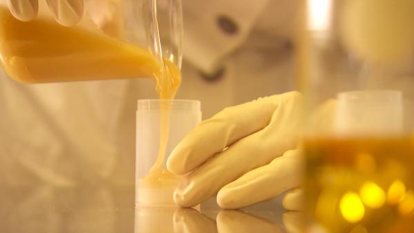 Bild 1 von 5: Besuchen Sie das Drogistenmuseum, lernen Sie innovative Kosmetikherstellerinnen kenn und entdecken Sie, wie Bienenprodukte in Schönheitscremes verwandelt werden. Ein Film von Katharina Reigersberg für das Landesstudio Wien, der die Essenz Wiens in Fläschchen und Tiegeln einfängt und die Stadt in einem neuen duftenden Licht zeigt.