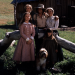 Unsere kleine Farm