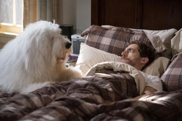 Bild 1 von 11: Drew Dunbar (Thomas Middleditch)