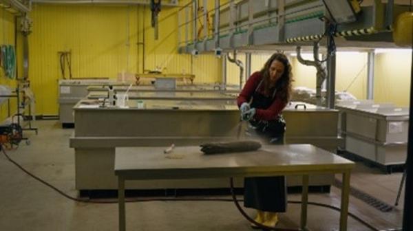 Bild 1 von 4: Vor der weiteren Untersuchung werden die Fundstücke vom Dreck der Jahrhunderte befreit.