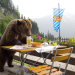 Der Bär ist los! Die Geschichte von Bruno