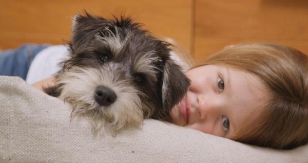 Bild 1 von 4: .