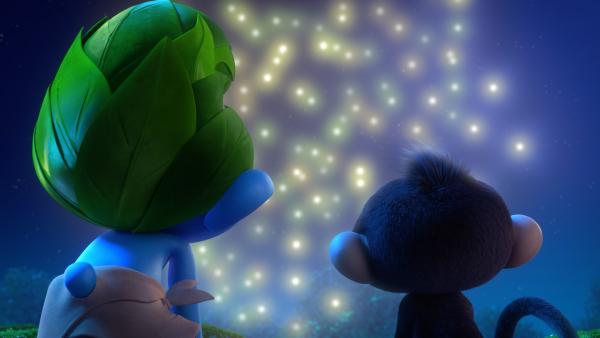 Bild 1 von 1: Wild und Monkey finden, dass Glühwürmchen wie kleine Sterne sind.© KiKA/Peyo Productions, Dupuis Édition & Audiovisuell - Honorarfreie Verwendung gemäß AGB im redaktionellen Zusammenhang mit genannter Sendung bei Nennung \