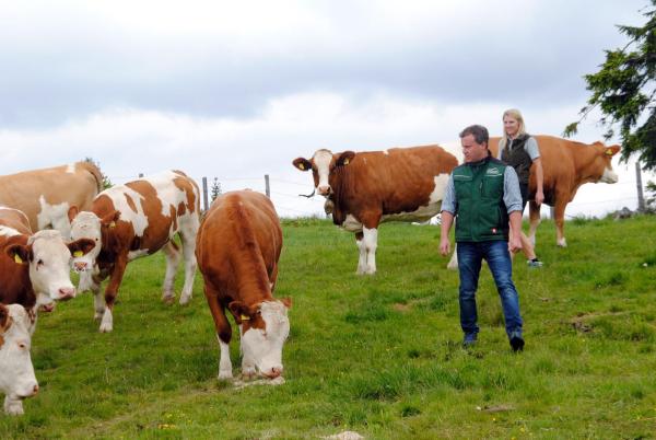 Bild 1 von 5: Im Bild: Jungbergbauern Familie Reichel, Perchau, Steiermark.