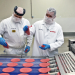Burger-Alarm - Der Siegeszug des Hamburgers