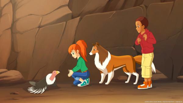 Bild 1 von 6: Zoe (li.), Lassie und Harvey (re.) haben einen verletzten Kondor entdeckt.