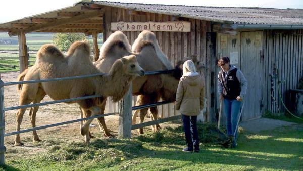 Bild 1 von 3: Im Bild: Astrid Pongratz - Betreiberin der \