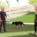 Cesar Millan: Better Human Better Dog - Bessere Menschen, bessere Hunde