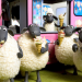 Shaun das Schaf