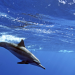 Expedition Mittelmeer