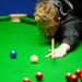UK Championship 2021 in York