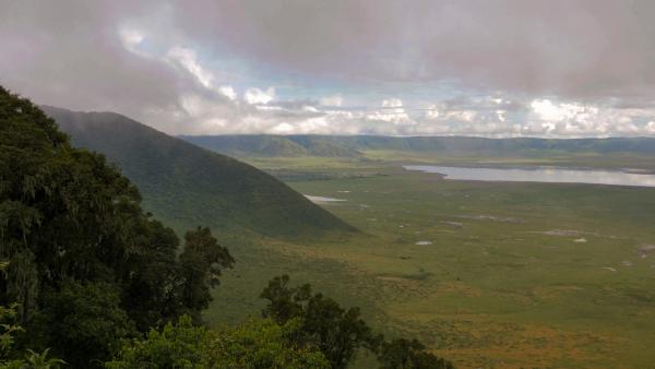 Bild 1 von 8: Im Ngorongoro-Krater halten sich saisonal bis zu 25.000 Tiere auf, er gilt als der Ort mit der größten Raubtierdichte Afrikas.