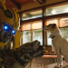 Bumblebee