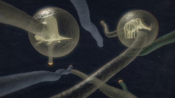 Bild 1 von 6: Die bahnbrechende Idee der Evolutionstheorie geht auf Charles Darwin zurück und lässt heute Zusammenhänge zwischen den verschiedensten Tierrassen erkennen.