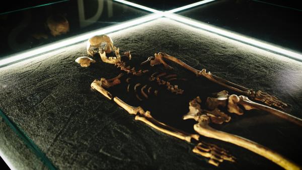 Bild 1 von 15: Eine wissenschaftliche Sensation: Der eiszeitliche \