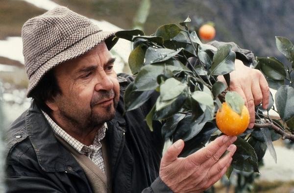 Bild 1 von 2: Professor Gunström (Wolfgang Kieling) genießt einen guten Ruf und zugleich den, ein Sonderling zu sein. Bis jetzt ahnt niemand, dass er die Erbanlagen von Pflanzen erfolgreich verändert hat, um sie extremem Klima anzupassen. Ein großer Fortschritt im Kampf gegen den Hunger in der Welt.