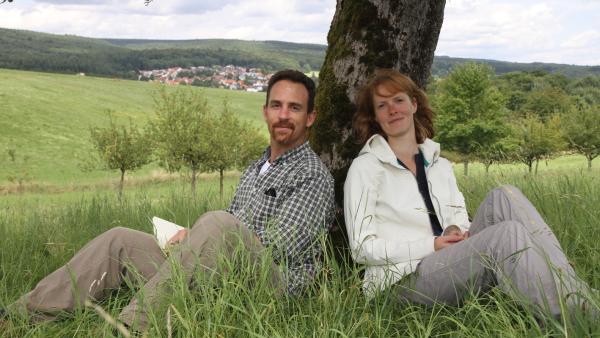 Bild 1 von 6: .
