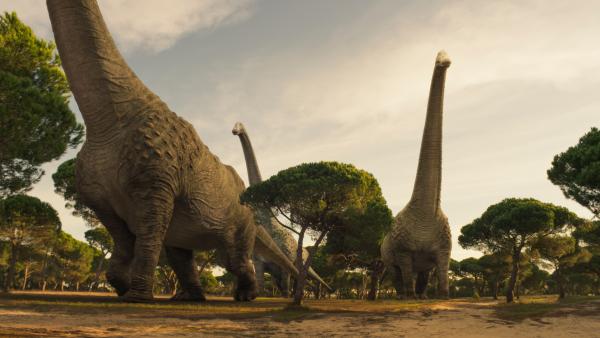 Bild 1 von 15: Titanosaurier waren nur Durchreisende im Kem Kem Gebiet. Erst kürzlich entdeckte Nizar Ibrahim die Spuren der Giganten.