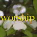 Worship