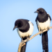 Abenteuer Wildnis