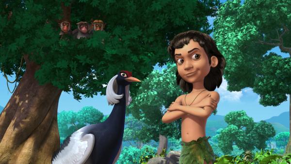 Bild 1 von 5: Mogli hat die Kranichdame Aliona kennengelernt. Mit ihr würde er gern weiterfliegen. Die Affenschwestern Mascha, Mera und Mona machen sich über Moglis Wunsch \