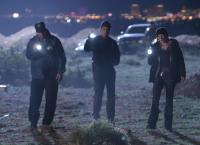 CSI: Den Tätern auf der Spur