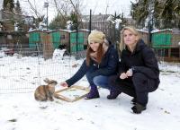 Anna und die Haustiere