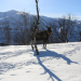 Skandinaviens versteckte Paradiese