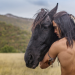 Winnetou - Das Geheimnis vom Silbersee