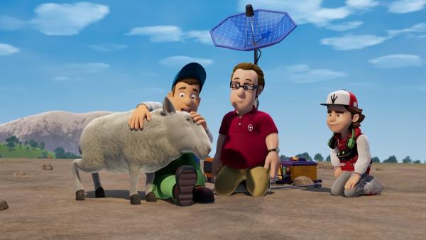 Bild 1 von 3: Die Pfadfinder müssen die \