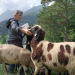 Hirtenleben - Suachn und Losen im Dachsteingebirge
