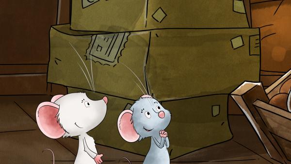 Bild 1 von 11: Molly schwärmt von den leckeren Keksen auf dem Tresen.