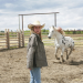 Heartland - Paradies für Pferde