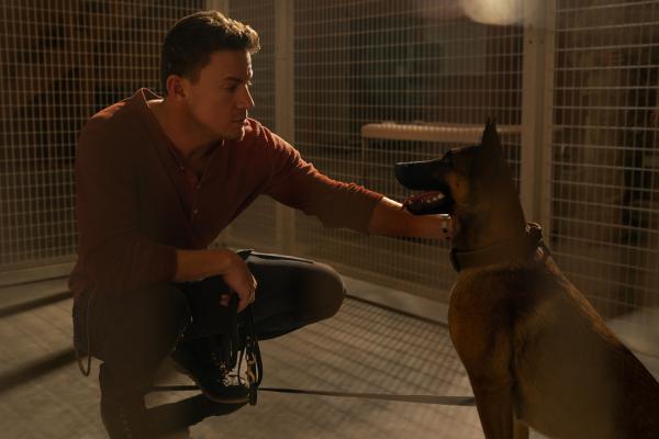 Bild 1 von 8: DOG_00734-00737_RCC2    Channing Tatum stars as Briggs and Lulu the Belgian Malinois in    DOG     A Metro Goldwyn Mayer Pictures film    Photo credit: Hilary Bronwyn Gayle/SMPSP
