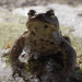 360° Reportage
