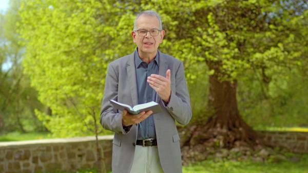 Bild 1 von 1: Swen Schönheit