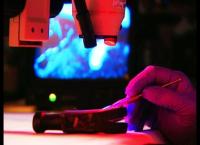 Medical Detectives - Geheimnisse der Gerichtsmedizin