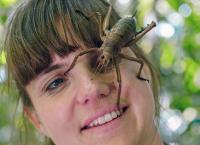 Neuseeland - Gletscher, Vulkane und Kiwis