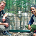 Pia und die wilden Tiere