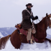 Django Unchained
