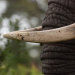 Tödliches Afrika - Killer der Savanne