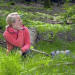 Expedition in die Heimat