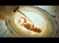 Sex and the Scientists · Wie wir künftig Kinder kriegen