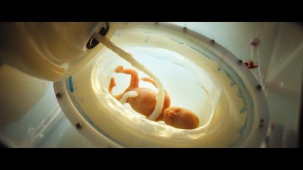 Bild 1 von 1: Der künstliche Uterus - ein Brutkasten für Babys.