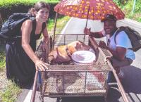 Travel with a Goat