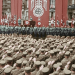 Der zweite Weltkrieg - Globale Fronten