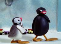 Pingu - Fangen spielen