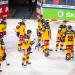Eishockey Live - Länderspiel