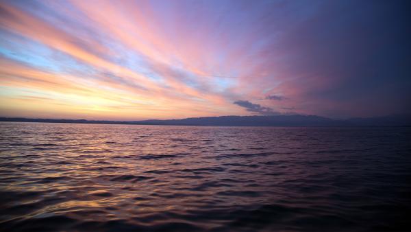 Bild 1 von 14: .
