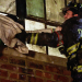 Chicago Fire